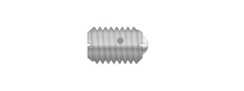 Stainless Steel Ball Plungers-SSBH58N